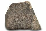 Cut Chondrite Meteorite With Crust ( g) - Unclassified NWA #265618-1
